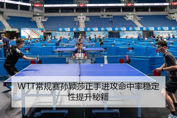 chang-gui-sai-sun-ying-sha-zheng-shou-jin-gong-ming-zhong-lv-wen-ding-xing-ti-sheng-mi-ji-2-140.jpg